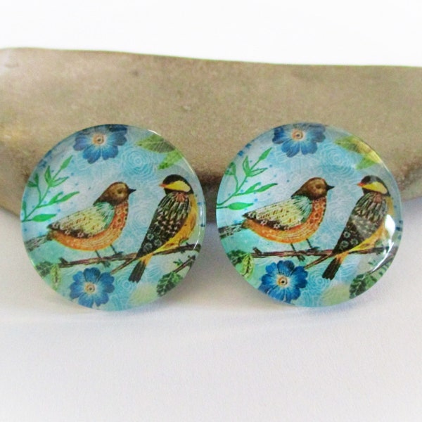 2 Colorful Bird Cabochons for 25mm Settings | Glass Dome Picture Cabochons for Earrings Necklaces Key Chains Brooches | DIY Jewelry Supplies