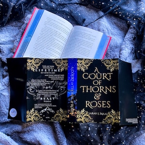 ACOTAR Velaris Special Edition Book Set A Court of Thorns and Roses, ACOTAR Books, ACOTAR Merch Officially Licensed by Sarah J. Maas image 10