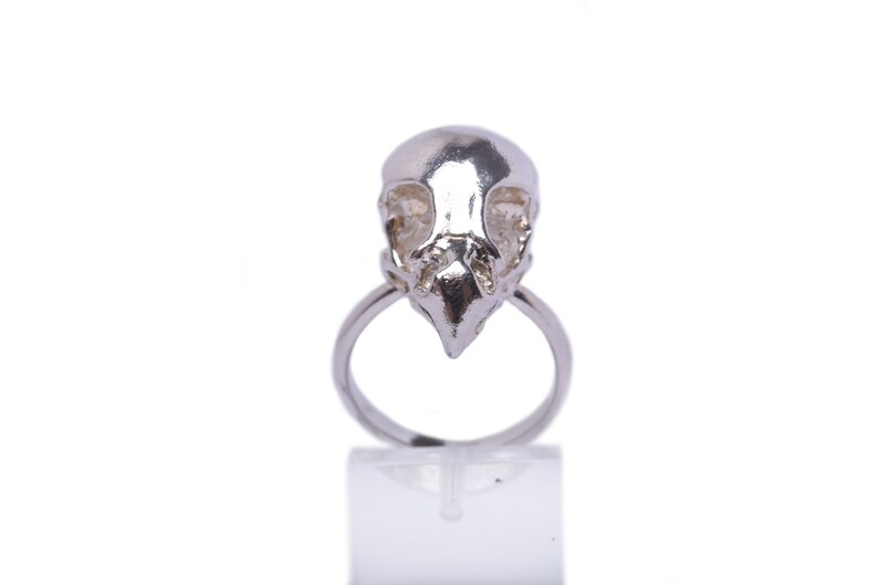 Delicate bird of prey skull ring in sterling silver alternative gifts