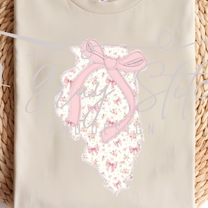 Zig Zag Stitch Coquette State of Illinois Machine Embroidery Applique Design