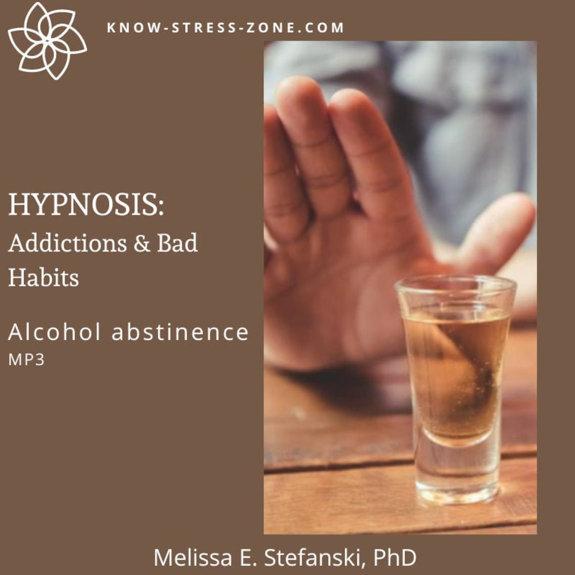 HYPNOSIS ALCOHOL ABSTINENCE Addictions and Bad Habits MP3 Etsy