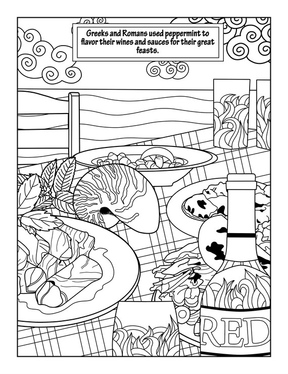 33 COLORING Pages Adult Coloring Book and Journal Meditation