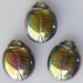 see more listings in the Animals, Sea Life/Shells section