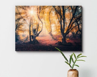 Lienzo decorativo de Bosque Encantado: fotografía Wanderlust, decoración escénica, regalo listo para colgar