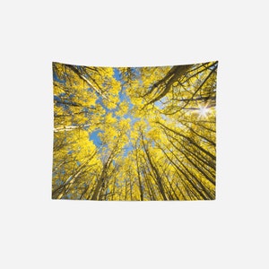 Tree Tapestry, Wall Tapestry, Trees Forest Woods Wilderness Sky, Large Size Wall Art, Boho Wall Tapestry, Modern Tapestry, Boho Chic Decor