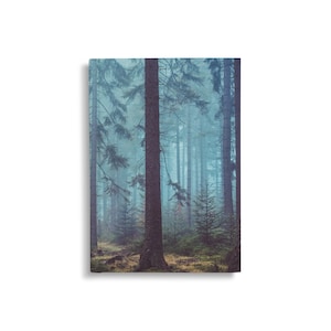 May include: A misty forest scene with tall, dark trees and a light blue hue. The trees are densely packed, creating a sense of depth and mystery.
