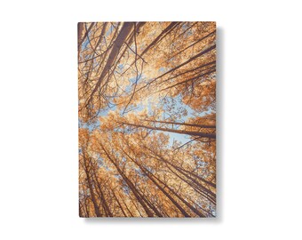 Cuaderno de tapa dura con árboles otoñales, cuaderno con líneas para actividades al aire libre