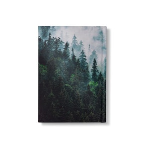 May include: A misty forest scene with tall evergreen trees in shades of green. The fog creates a sense of mystery and depth in the image.