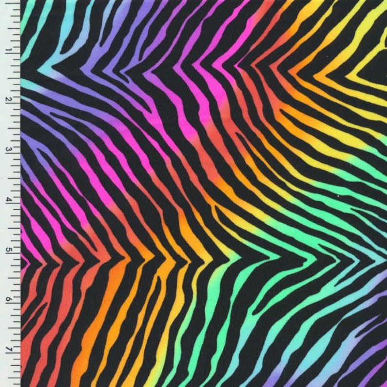 Swim Brief in Loud and Proud Prints Rainbow Zebra