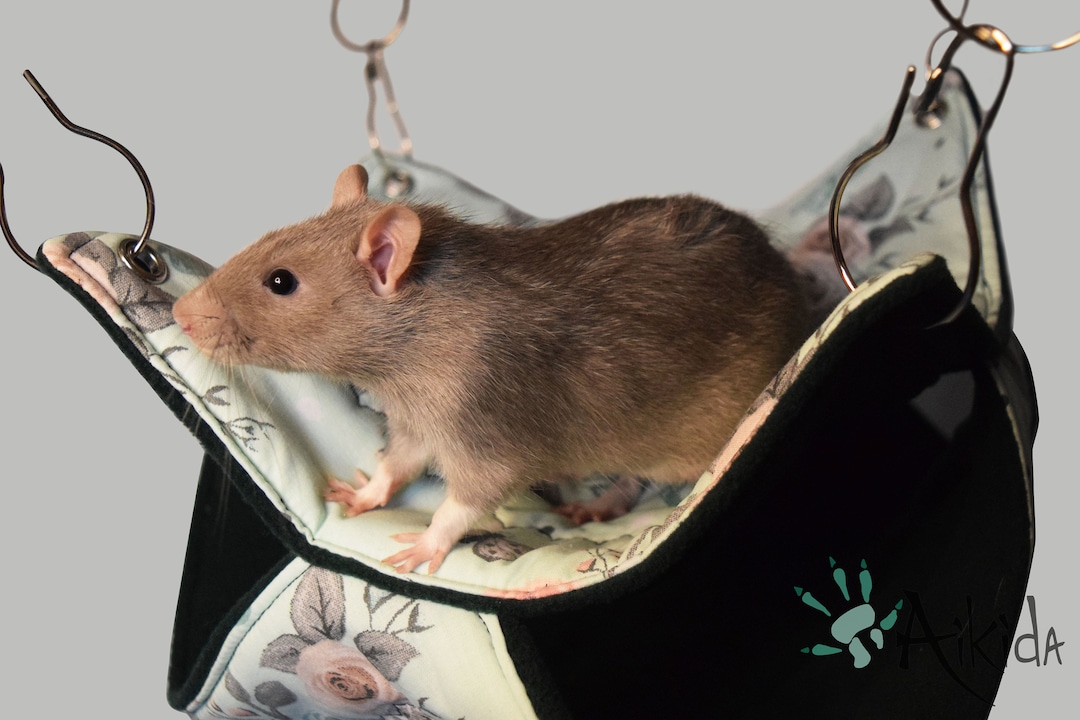 Double Hammock For Rats Handmade Fleece And Cotton Hammock Etsy double-hammock-for-rats-handmade-fleece-and-cotton-hammock-etsy