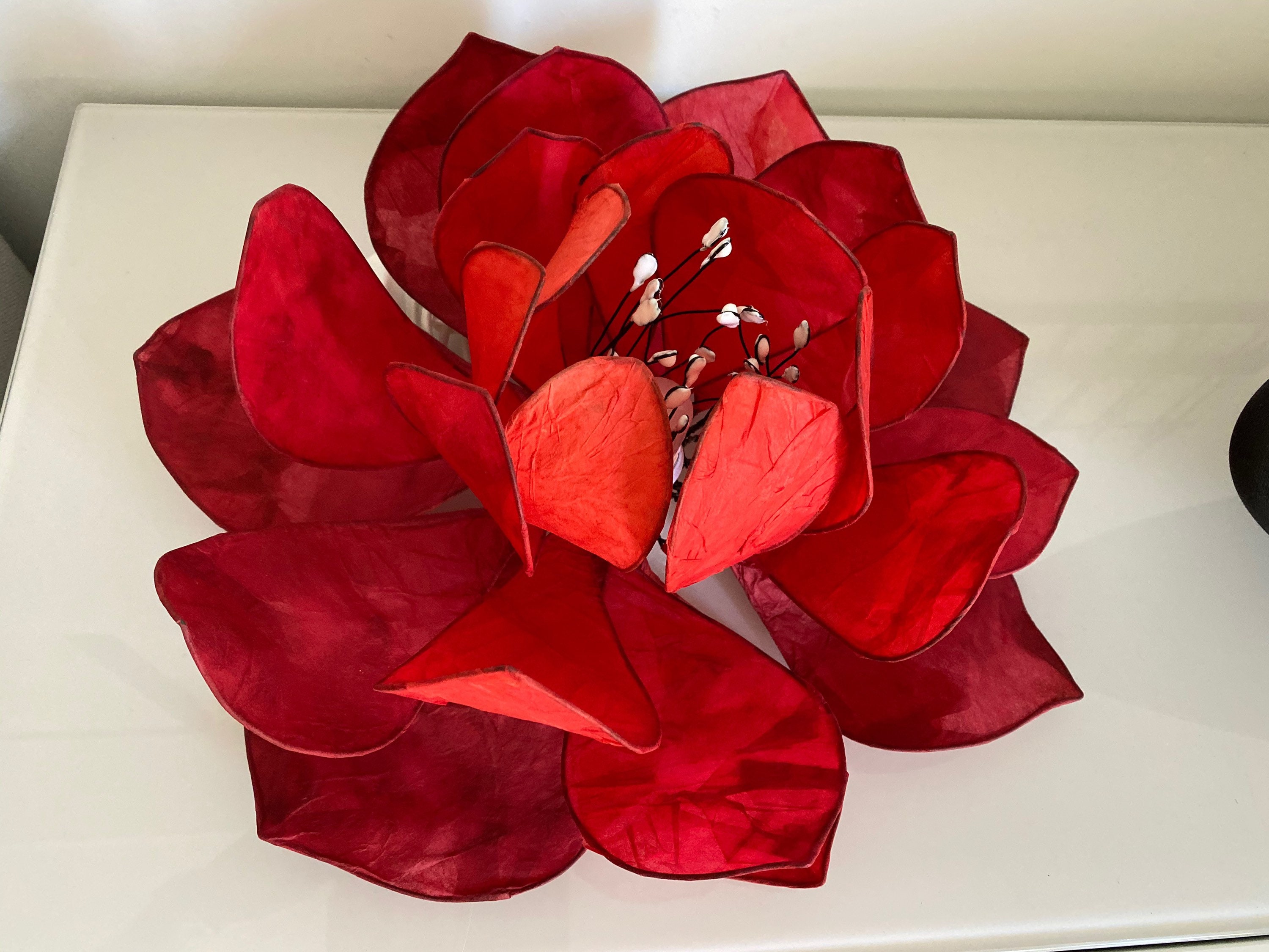 Fleur de Lotus Rouge