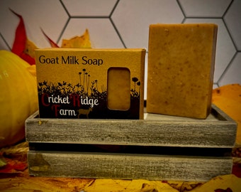 Cozy Pumpkin Goats Milk Soap