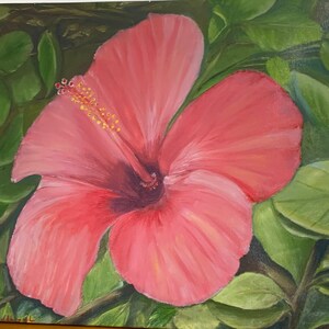Hibiscus in Israel - Print on Canvas or Original Painting