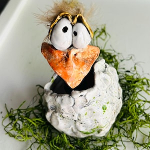 May include: A whimsical ceramic bird planter with large white eyes, an orange beak, and a feathery head. The bird sits in a cracked, white eggshell-shaped pot, surrounded by green decorative moss.