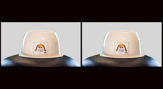 no ears in here dog bowl