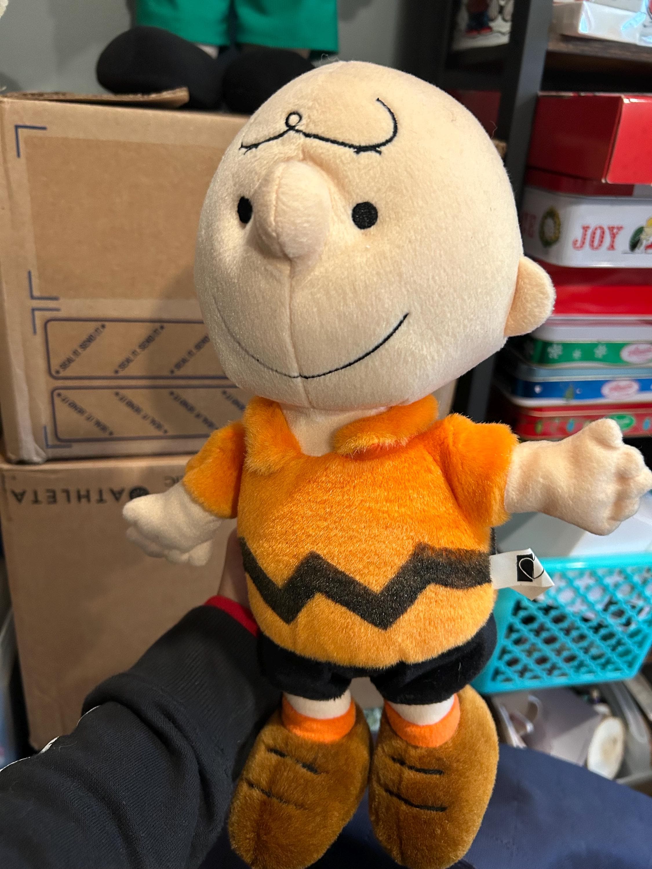 Charlie Brown Plush: 12