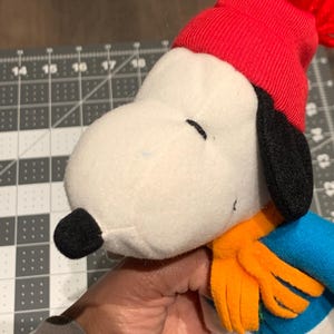 The peanuts toys, plush, snoopy plush, dog plush. Snoopy skater.