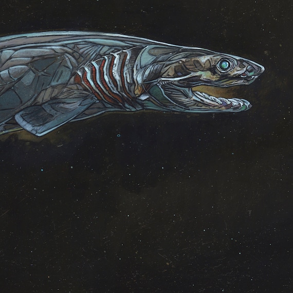 Frilled Shark Framed Acrylic Painting - Etsy