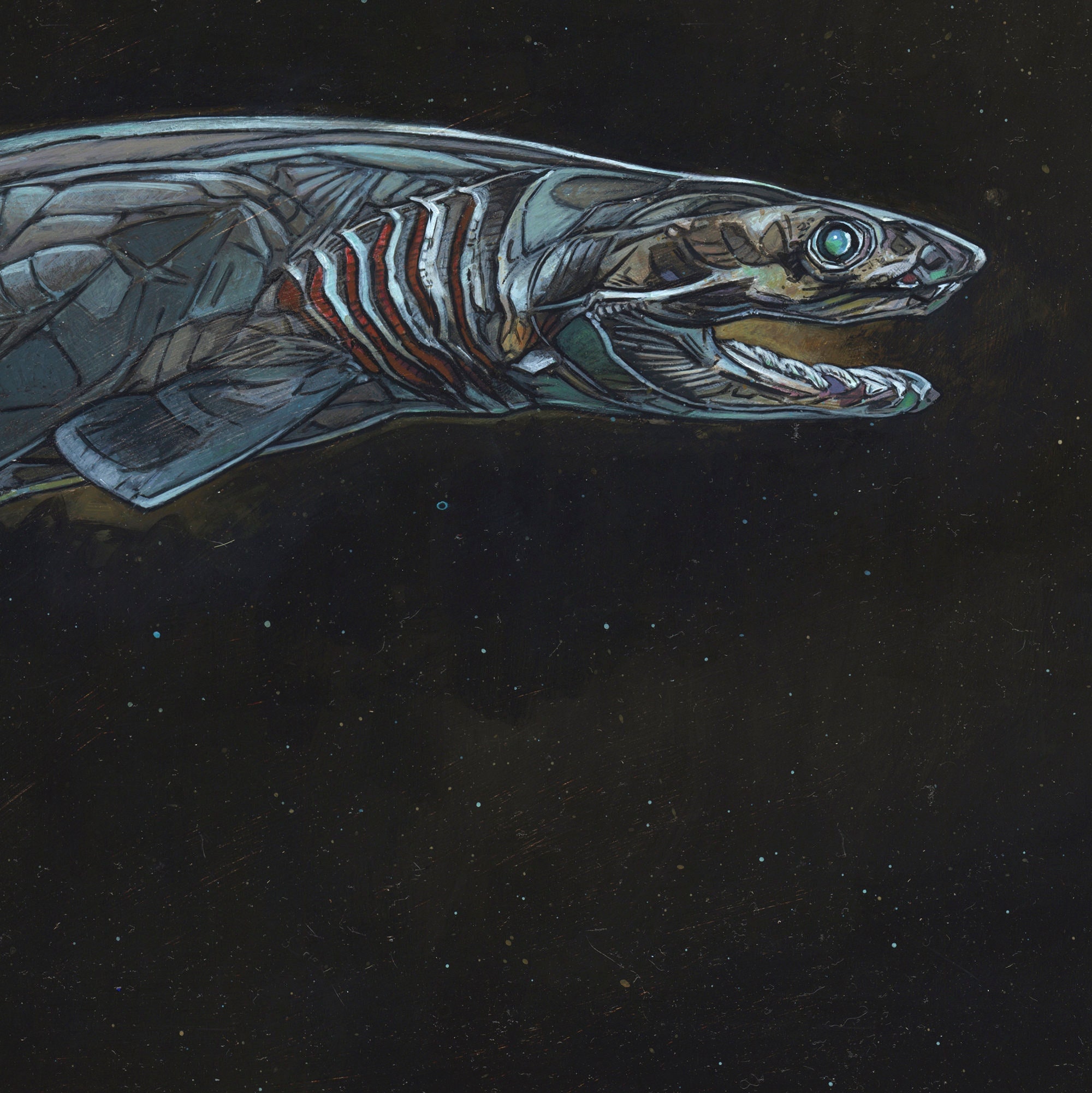 Frilled Shark Framed Acrylic Painting - Etsy
