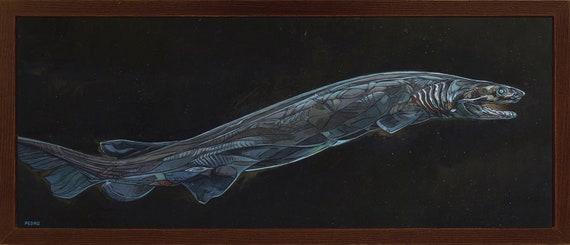 Frilled Shark Framed Acrylic Painting - Etsy