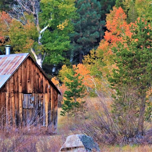 Nature Photo Note Card, Blank, Sierra Nevada, Cabin, Autumn Leaves, Hope Valley, Travel Photo, Birthday, Nature, Anniversary, Fall Leaves