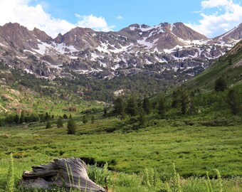 Nature Photo Note Card, Blank, Ruby Mountains, Lamoille Canyon, Meadow, Travel Photo, Birthday, Nature, Anniversary, Snow, Nevada