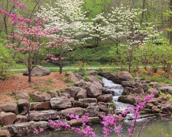 Nature Photo Note Card, Blank, Waterfall, Garden, Floral, Travel Photo, Birthday, Nature, Anniversary, Wedding, Trees