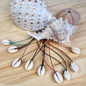Shell necklace, necklace with cowrie shell, surfer necklace