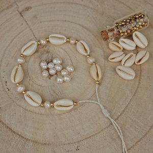 Könnte beinhalten: Ein weißes Muschel-Armband mit goldenen Perlen und einem weißen Kordelverschluss. Das Armband liegt auf einer Holzoberfläche mit einem kleinen Glas mit goldenen Perlen und losen weißen Muscheln.