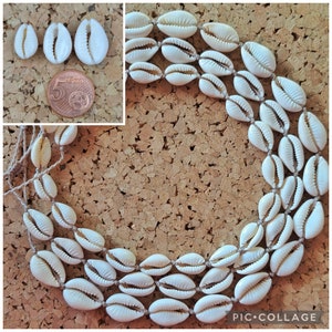 Muschelkette, Choker aus Kaurimuscheln Mittel