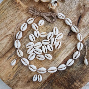 Könnte beinhalten: Eine weiße Muschelkette mit einer natürlichen Bindfadenkordel. Die Kette besteht aus Kaurischneckenmuscheln und ist mit einem einfachen Knoten zusammengefügt.