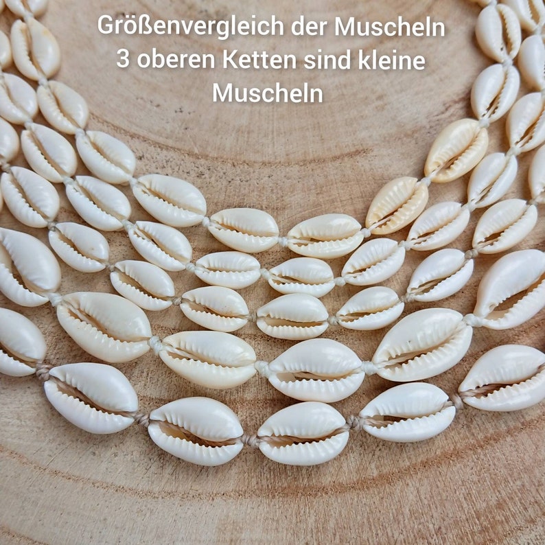 Muschelkette, Choker aus Kaurimuscheln Bild 3