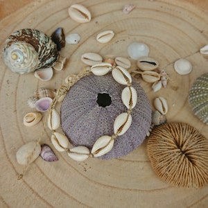 Könnte beinhalten: Eine weiße Muschelkette mit einem natürlichen Seilband, auf einer Holzoberfläche mit einem Seeigel und anderen Muscheln gelegt.