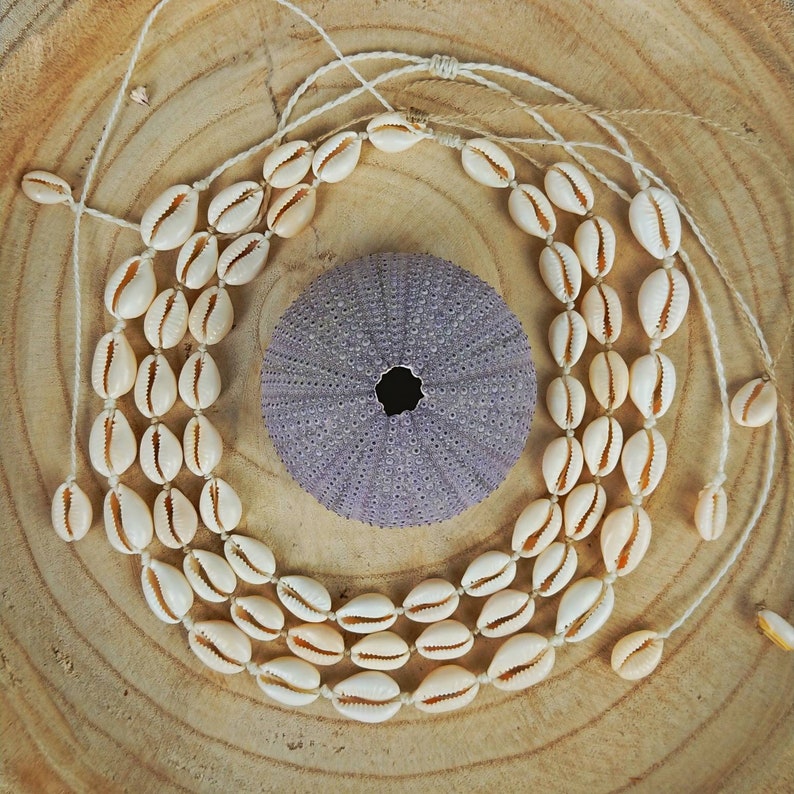 Muschelkette, Choker aus Kaurimuscheln Bild 5