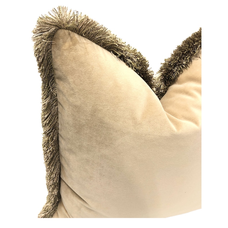 May include: A beige velvet pillow with a brown fringe trim around the edges.