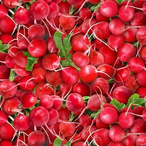Food Festival Fabric Radishes in Red 100% Cotton Fabric From Elizabeth Studios