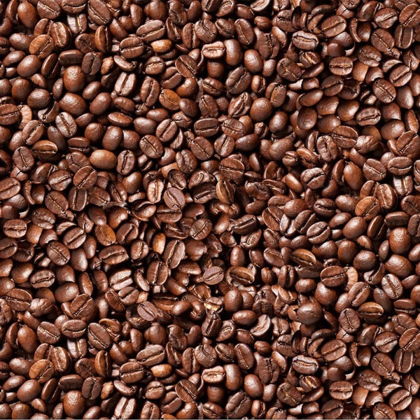 Food Fabric Coffee Beans in Brown Premium Quality 100% Cotton Fabric From Elizabeth's Studios