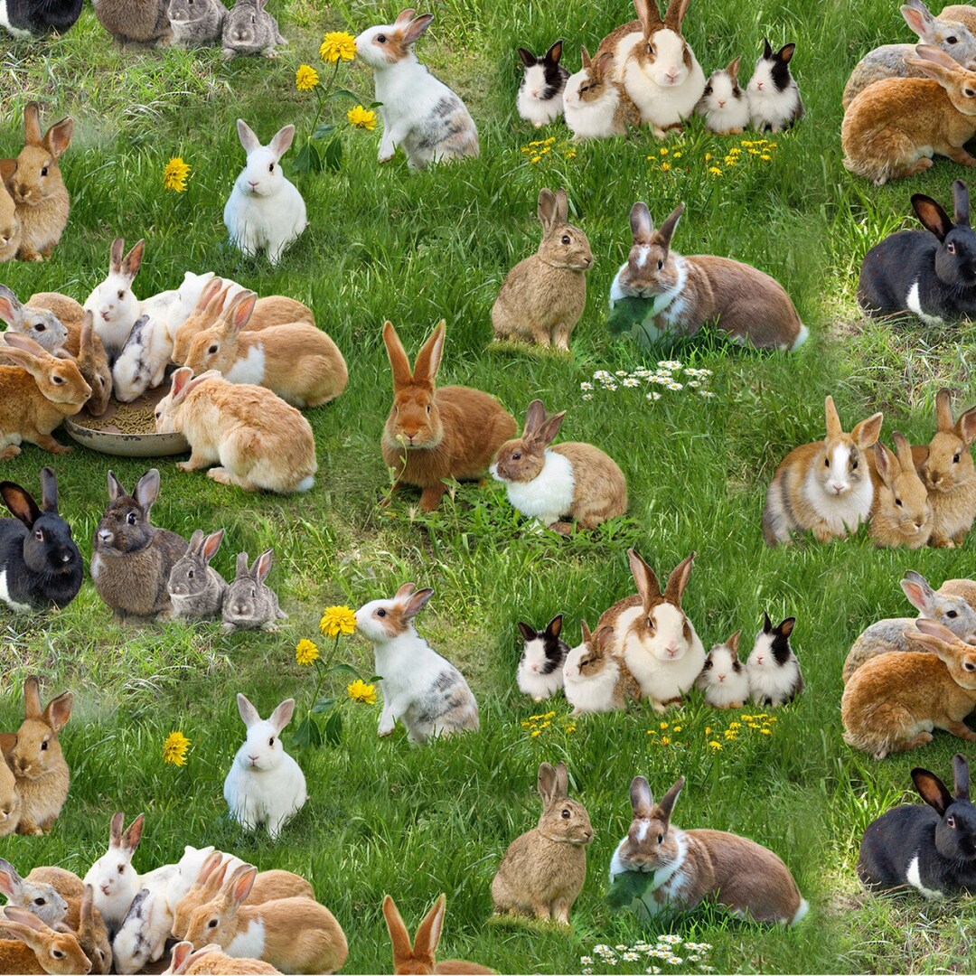 Many 100 Rabbit Animal Fabric Farm Animals Rabbits in Multi From Elizabeth's Studios ...