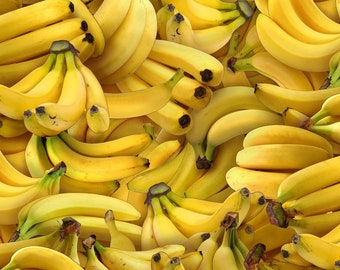 Food Fabric Banana in Yellow Premium Quality 100% Cotton Fabric From Elizabeth's Studios