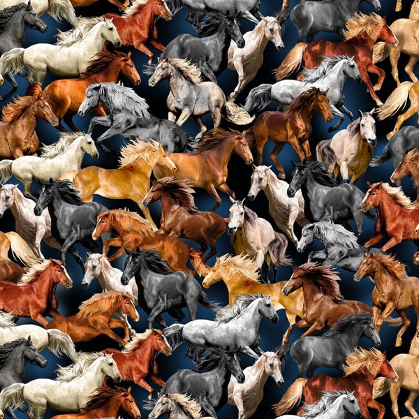 Big Sky Country Nite Freedom Horses in Blue 100% Cotton Fabric from Michael Miller