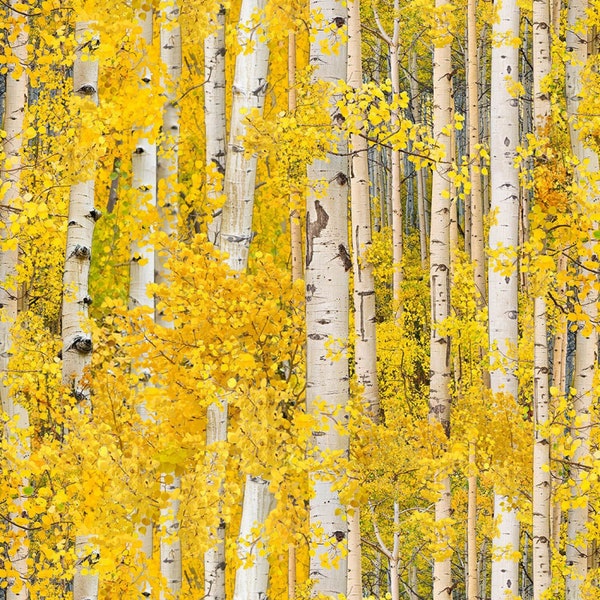 Tree Fabric Landscape Medley Birch Trees in Yellow From Elizabeth Studios 100% Cotton