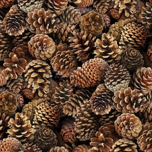 Pine Cone Fabric Landscape Medley in Brown 100% Cotton Fabric From Elizabeth&#39;s Studios