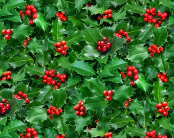 Landscape Medley Holly and Berries in Green From Elizabeth Studios 100% Cotton