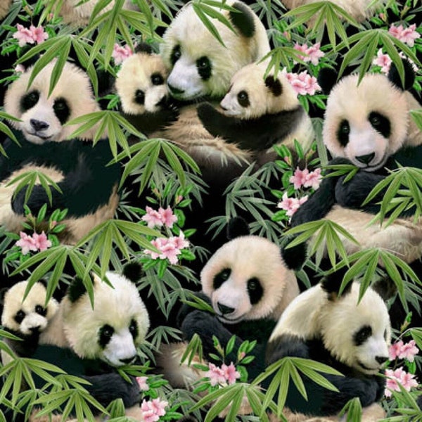 Panda Bear Fabric Panda Bears and Bamboo with Pink Flowers in Multi From Elizabeth's Studios 100% Premium Quality Cotton