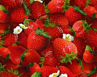 Food Fabric Strawberries in Red Premium Quality 100% Cotton Fabric From Elizabeth's Studios