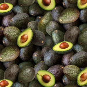 Food Festival Fabric Avocados in Green 100% Cotton Fabric  From Elizabeth Studios