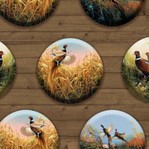 May include: Six round ceramic plates with a rustic wood background. Each plate features a different image of a pheasant in a field of tall grass.