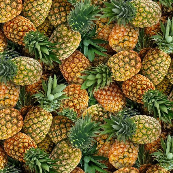 Food Fabric Pineapple in Multi Premium Quality 100% Cotton Fabric From Elizabeth's Studios