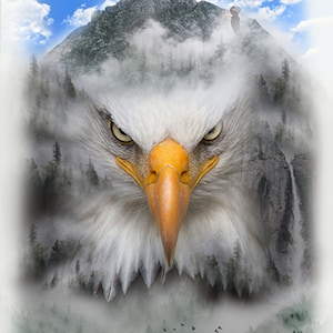 Call of the Wild Bald Eagle Fog 31"x43" Digital Print Panel 100% Cotton Fabric from Hoffman Fabrics