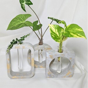 Puede incluir: Tres macetas de hormigón con detalles dorados y tubos de ensayo de vidrio, cada uno con un tipo diferente de planta verde.